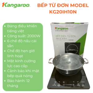 KG20IH10N